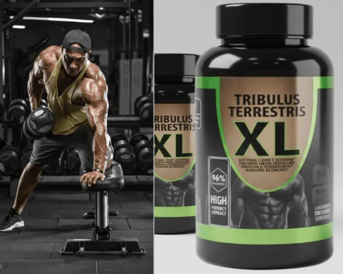 Homem treinando ao lado do pote de Tribulus Terrestris XL